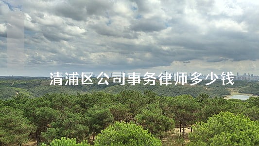 清浦区公司事务律师多少钱 清浦区公司事务律师多少钱