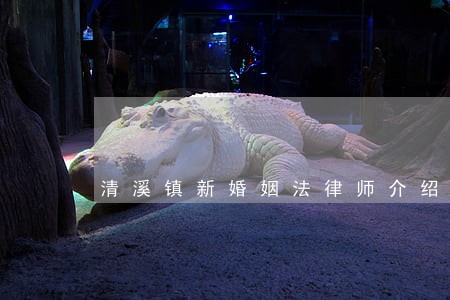 清溪镇新婚姻法律师介绍 清溪镇新婚姻法律师介绍