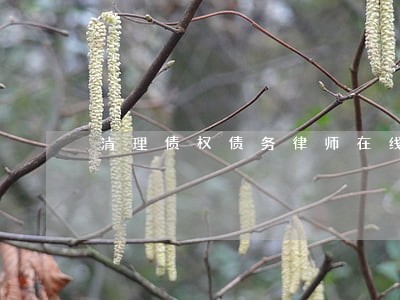 清理债权债务律师在线解答 清理债权债务律师在线解答