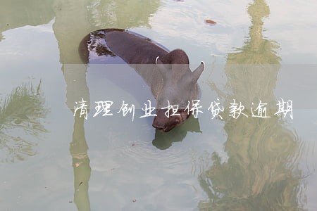 清理创业担保贷款逾期 清理创业担保贷款逾期