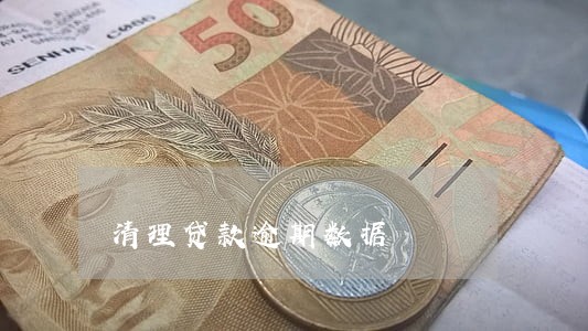 清理贷款逾期数据 清理贷款逾期数据