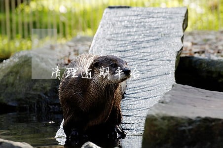 清理逾期平台 清理逾期平台