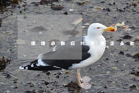清理逾期应付民营企业款项 清理逾期应付民营企业款项