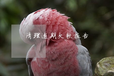 清理逾期欠款报告 清理逾期欠款报告
