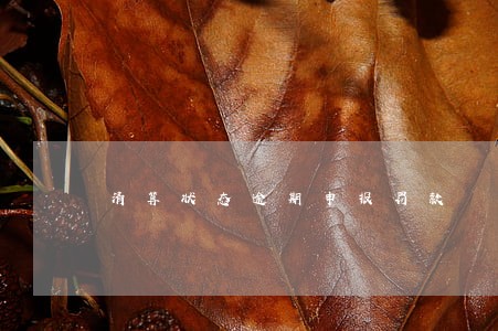 清算状态逾期申报罚款