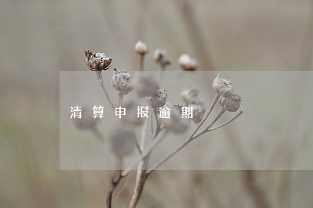 清算申报逾期 清算申报逾期