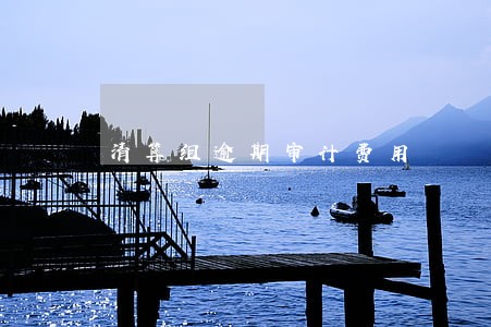 清算组逾期审计费用 清算组逾期审计费用