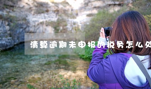 清算逾期未申报的税务怎么处理 清算逾期未申报的税务怎么处理