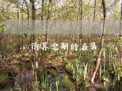 清算逾期的后果 清算逾期的后果