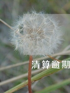 清算逾期罚款 清算逾期罚款