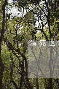 清苑区域名权免费法律咨询热线 清苑区域名权免费法律咨询热线