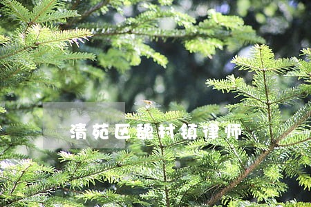 清苑区魏村镇律师 清苑区魏村镇律师