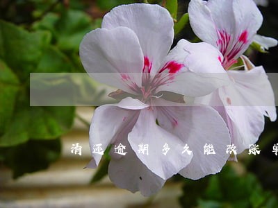 清还逾期多久能改账单日 清还逾期多久能改账单日