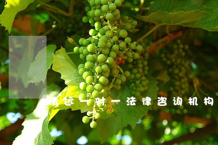 清远一对一法律咨询机构
