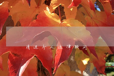 清远个人法律顾问 清远个人法律顾问