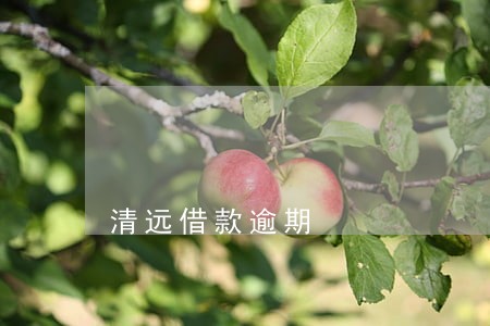 清远借款逾期 清远借款逾期