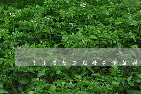 清远借款逾期债务重组利弊 清远借款逾期债务重组利弊