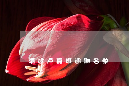 清远卢嘉琪逾期名单 清远卢嘉琪逾期名单