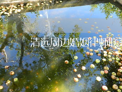清远周边婚姻律师联系方式 清远周边婚姻律师联系方式