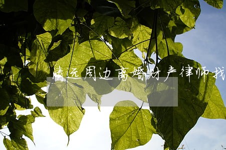 清远周边离婚财产律师找哪个 清远周边离婚财产律师找哪个