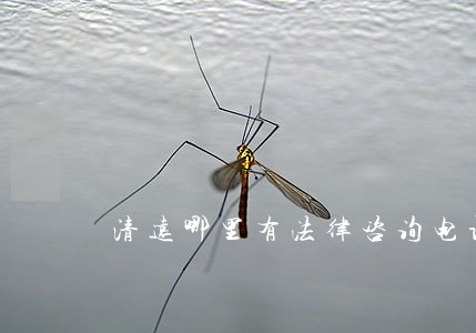 清远哪里有法律咨询电话 清远哪里有法律咨询电话