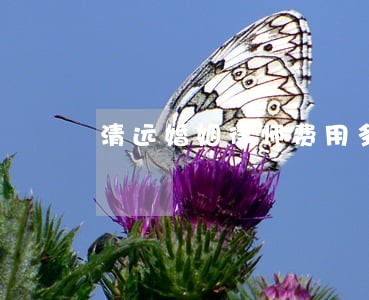 清远婚姻律师费用多少 清远婚姻律师费用多少