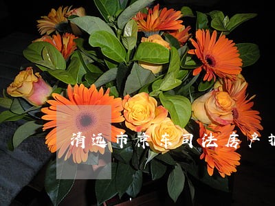 清远市京东司法房产拍卖公告