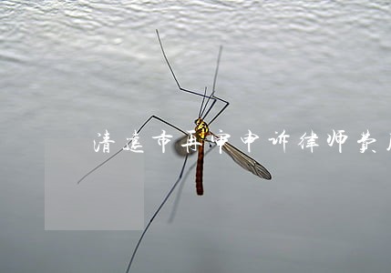 清远市再审申诉律师费用