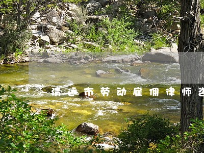 清远市劳动雇佣律师咨询 清远市劳动雇佣律师咨询