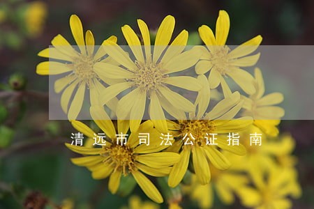 清远市司法公证指南 清远市司法公证指南