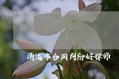 清远市合同纠纷好律师 清远市合同纠纷好律师