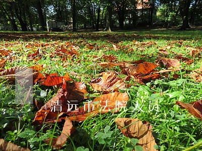 清远市法院人员