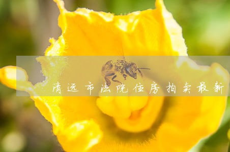 清远市法院住房拍卖最新信息