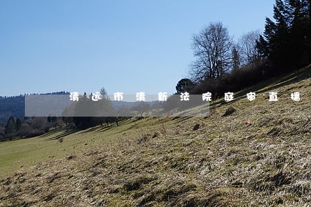 清远市清新法院庭审直播 清远市清新法院庭审直播