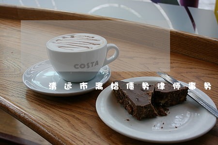 清远市离婚债务律师事务所 清远市离婚债务律师事务所
