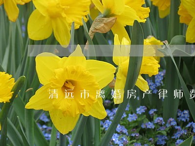 清远市离婚房产律师费用 清远市离婚房产律师费用