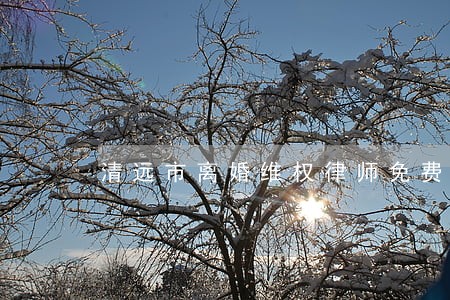 清远市离婚维权律师免费咨询 清远市离婚维权律师免费咨询
