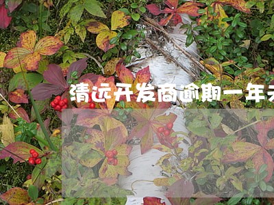 清远开发商逾期一年未完工 清远开发商逾期一年未完工