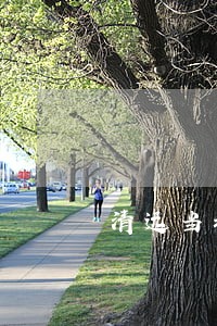 清远当地婚姻女律师委托咨询 清远当地婚姻女律师委托咨询