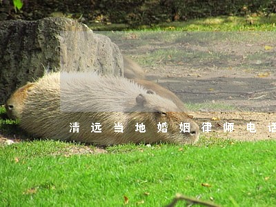 清远当地婚姻律师电话 清远当地婚姻律师电话