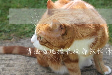 清远当地擅长抚养权律师 清远当地擅长抚养权律师