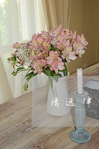 清远律师咨询电话 清远律师咨询电话
