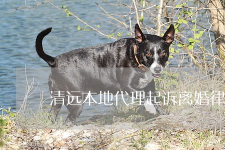 清远本地代理起诉离婚律师 清远本地代理起诉离婚律师