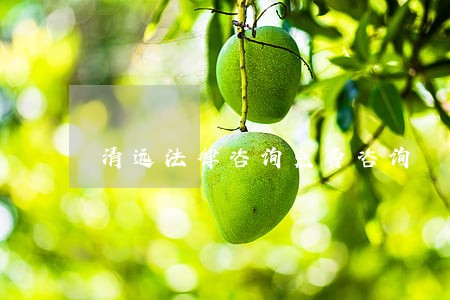 清远法律咨询免费咨询 清远法律咨询免费咨询