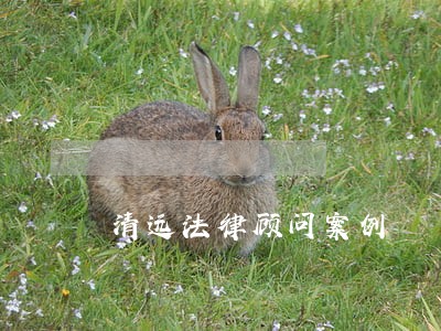清远法律顾问案例 清远法律顾问案例