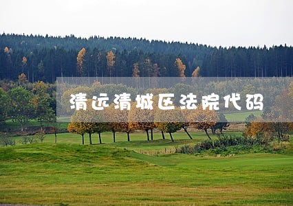 清远清城区法院代码 清远清城区法院代码