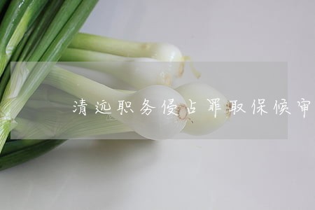清远职务侵占罪取保候审律师推荐 清远职务侵占罪取保候审律师推荐