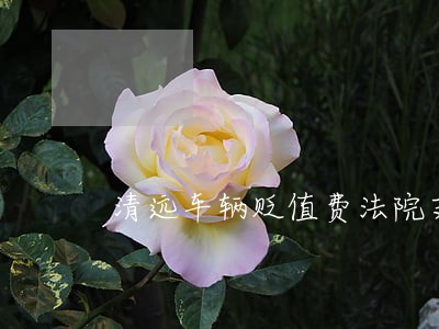 清远车辆贬值费法院支持吗 清远车辆贬值费法院支持吗