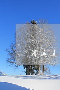 清远连南交通违法摄像头位置 清远连南交通违法摄像头位置