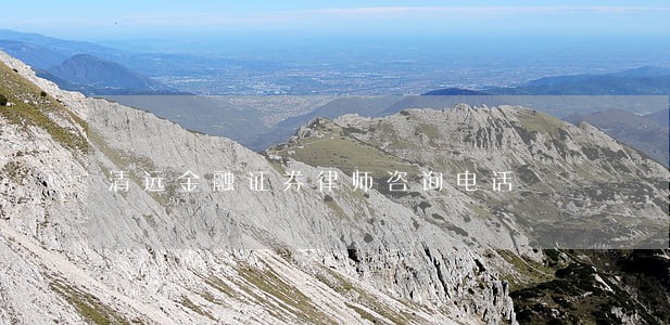 清远金融证券律师咨询电话 清远金融证券律师咨询电话